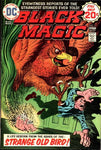 Black Magic (1973) #5