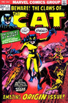 The Cat (1972) #1